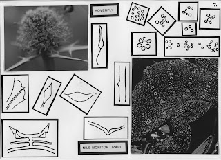stitchestill: Drawing Patterns from Animal Markings Sheet 7