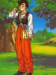 Gohan Adolecente