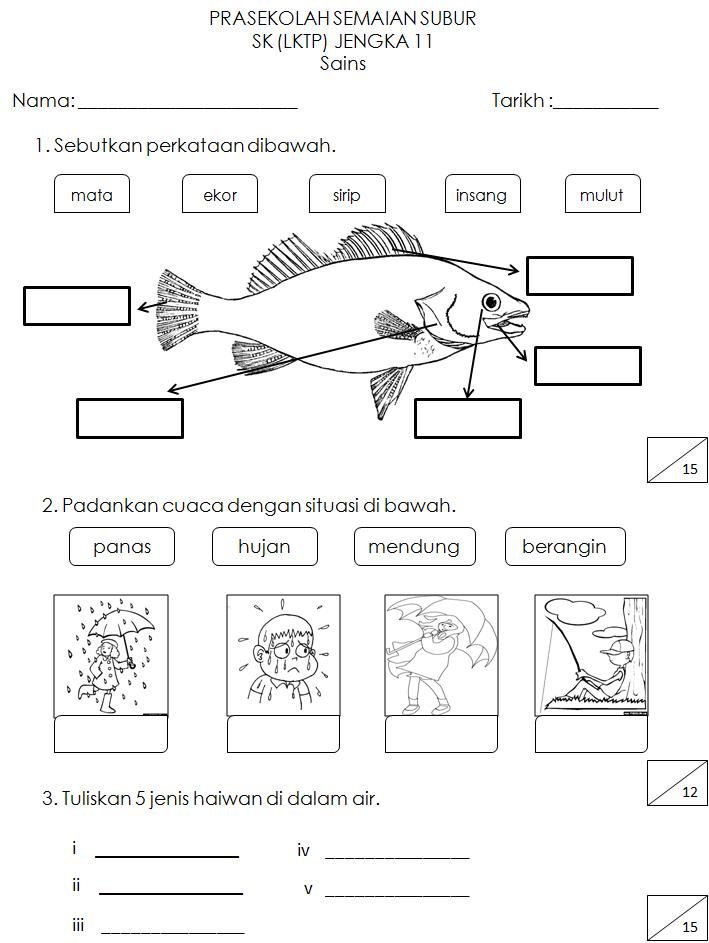 Latihan Sains Prasekolah 6 Tahun Pdf Lembaran Kerja S