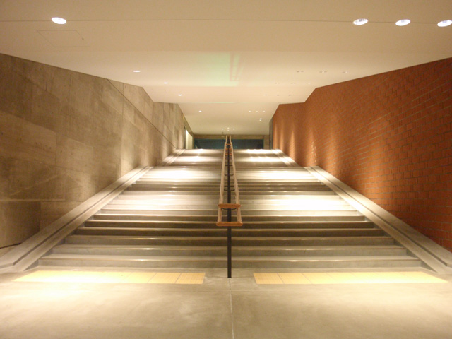 自然界の最高の建築家によって設計された素晴らしい「家」をご覧ください