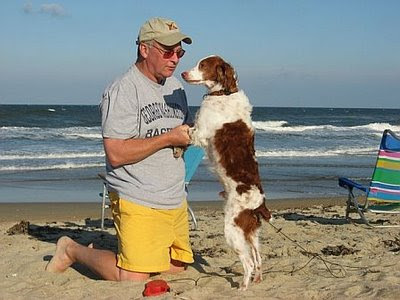 Outer Banks Pet Friendly Beach