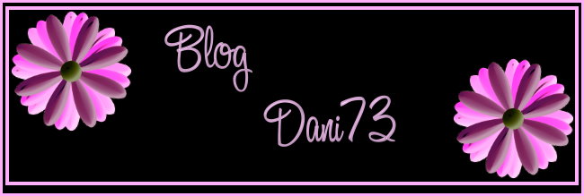 Blog Dani73