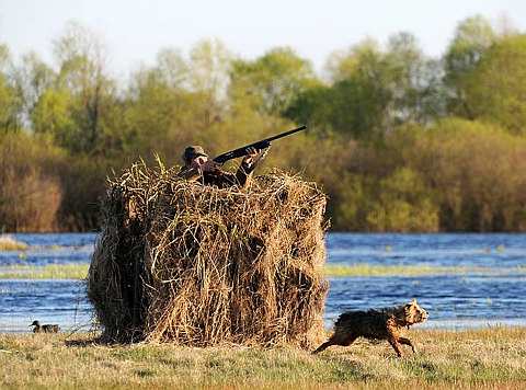 [Duck+hunting3.jpg]