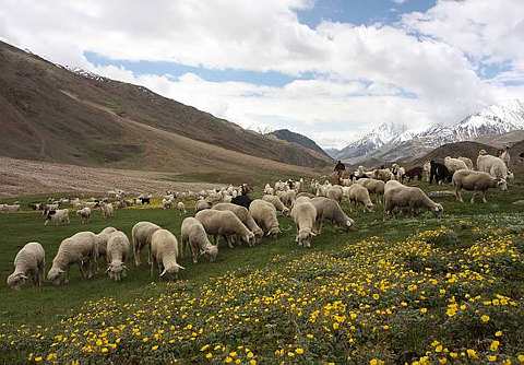 [Chandra+Taal+2.jpg]