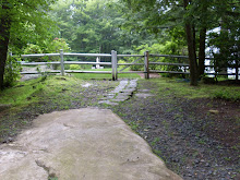 THE PATH TO THE POOL BEFORE THE REDESIGN