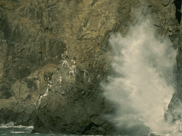 [0055.gif]