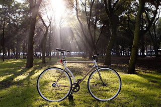 Bicicleta feita de Bambu - 7