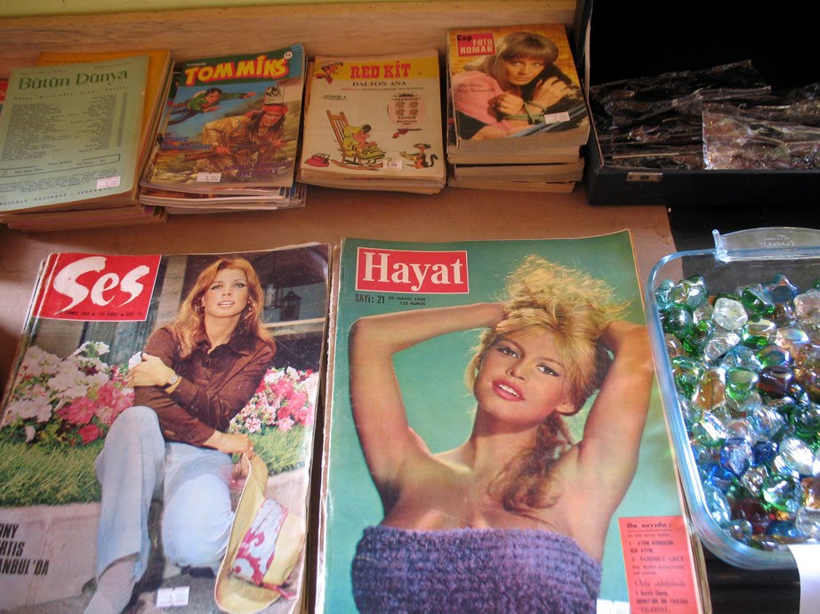 LEYLAK DALI ÇIK ÇIK ÇIKRIKÇILAR YOKUŞU