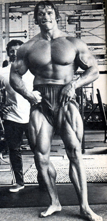 [Arnold_Schwarzenegger_806.jpg]