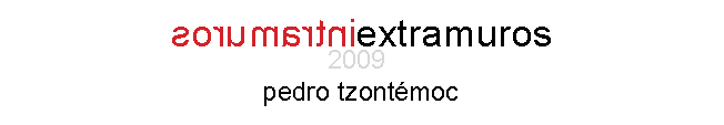 pedro tzontemoc / extramuros-intramuros 2009