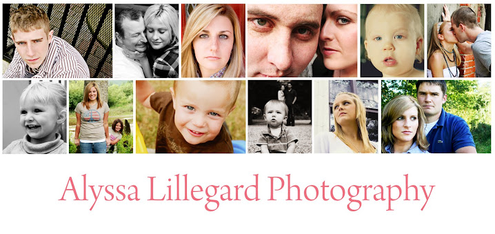 Alyssa Lillegard Photography
