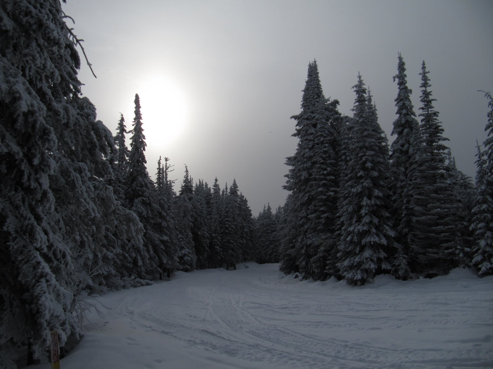 Backpacker Rose Snowshoeing Mount Spokane
