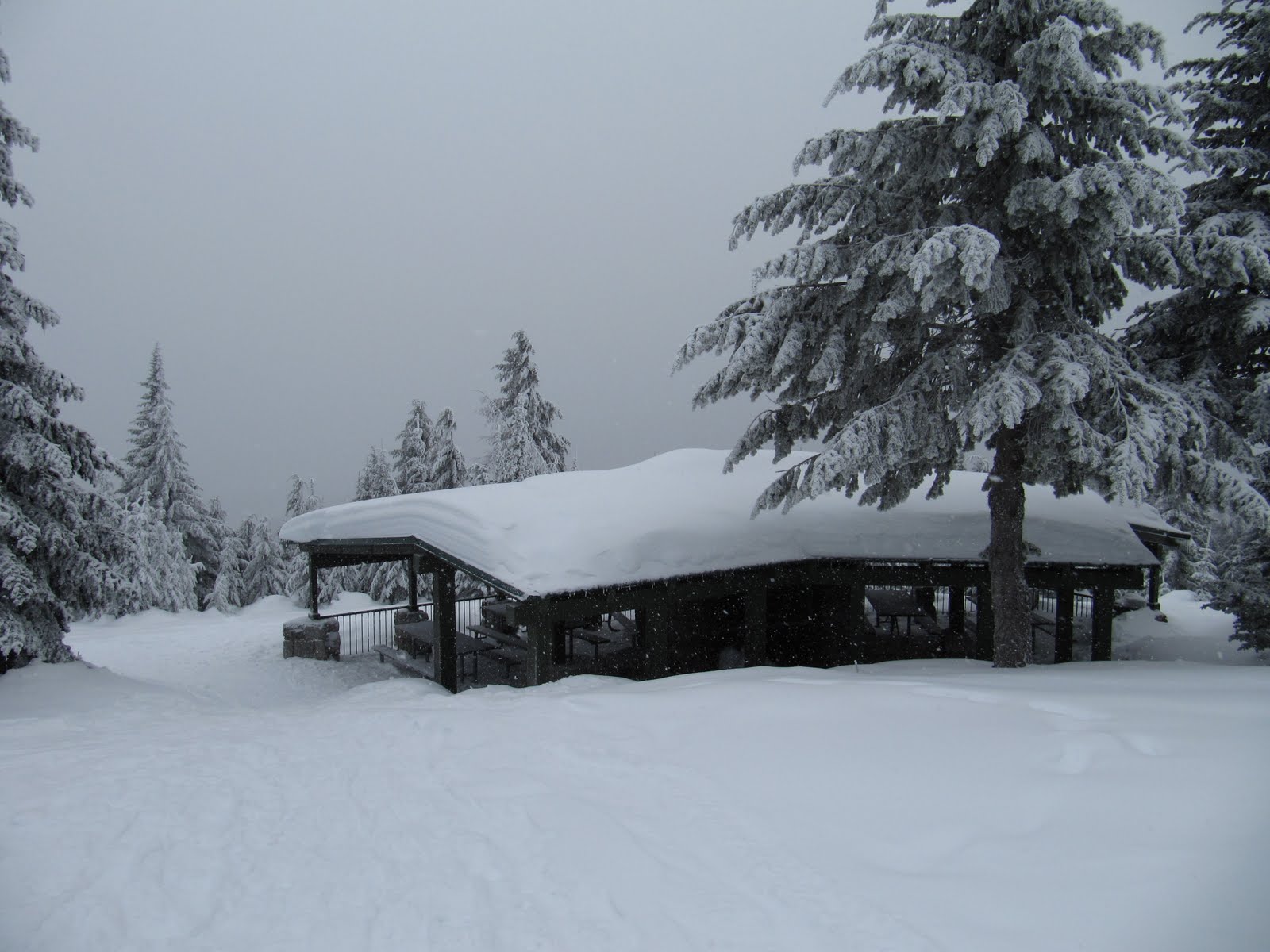 Backpacker Rose Snowshoeing Mount Spokane