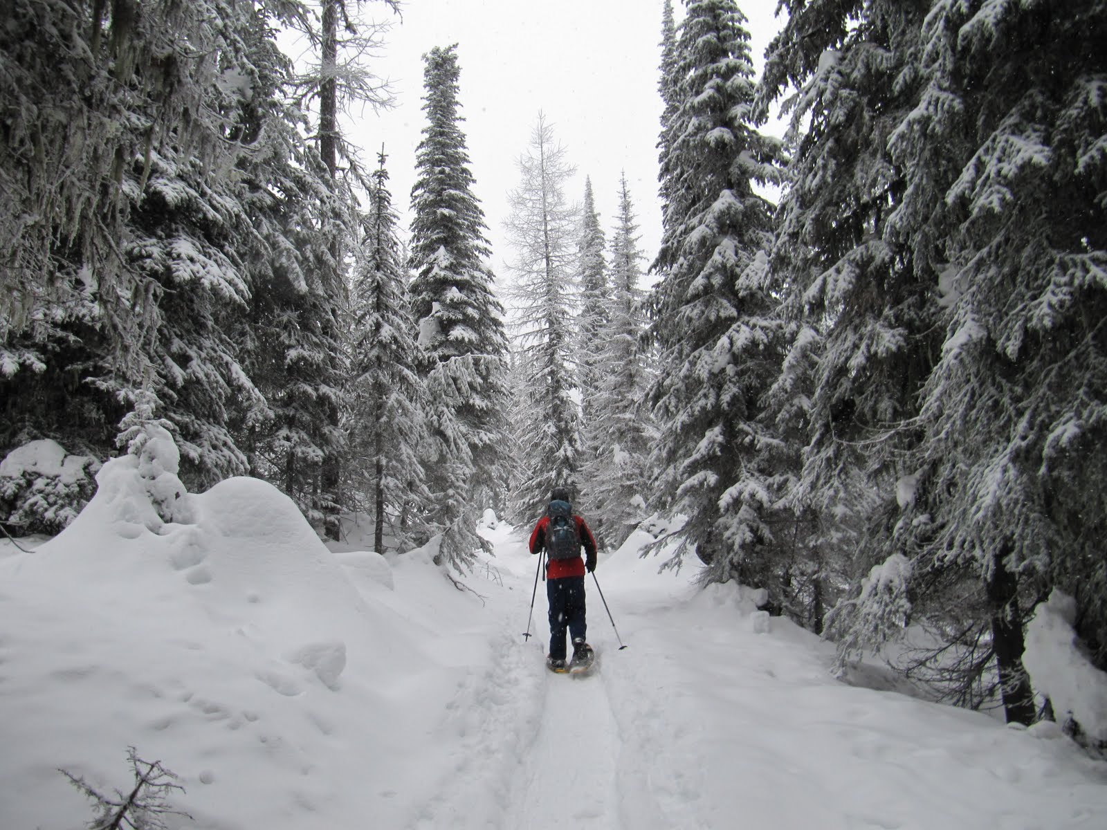 Backpacker Rose Snowshoeing Mount Spokane