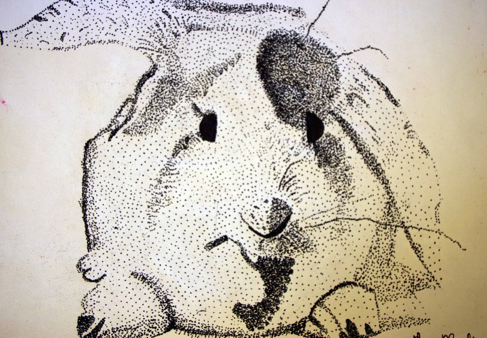 art @ the heart: Grade 9-10 Stipple Animals