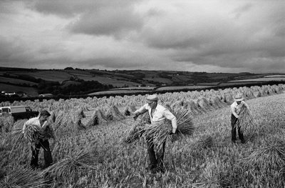 ludwig mies van der rohe: James Ravilious