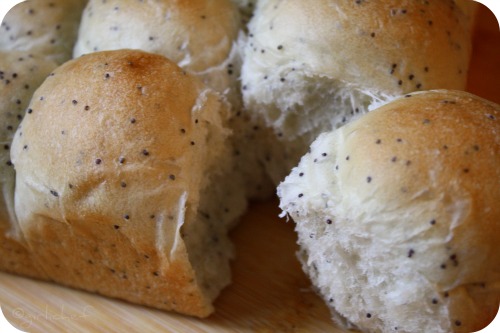 Soft, Pull-Apart Poppy Seed Rolls