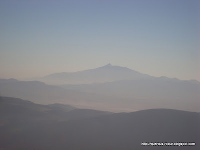 Desde el segundo geocache se ve el Nevado de Colima y la laguna de Chapala, en Cerro Viejo