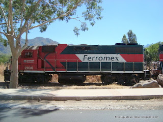 Locomotora Tequila Express