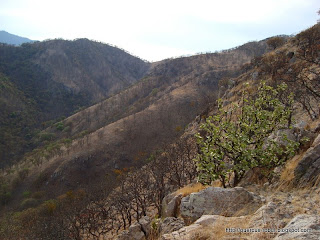 Cerro de San Francisco