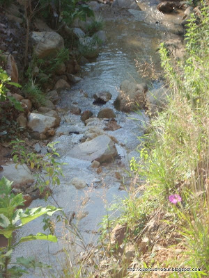 Arroyo de temporal al lado de la brecha