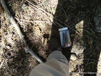 Mantenimiento al geocache "Vegaducifolio"