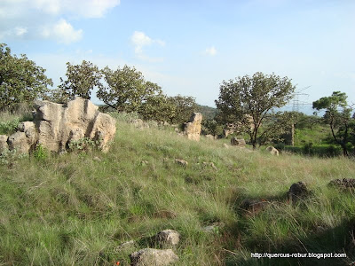 Vista de las rocas mágicas de Tala