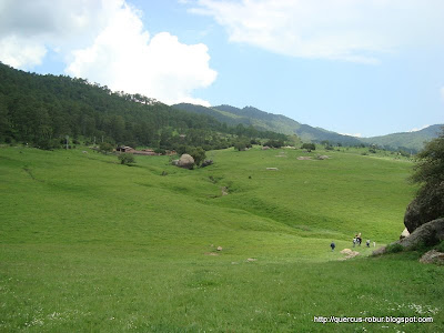 Vista al Norte desde las Piedrotas de Tapalpa