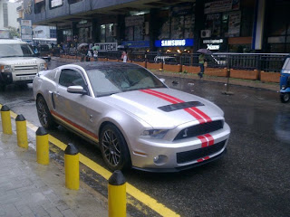 shelby1-784688.jpg