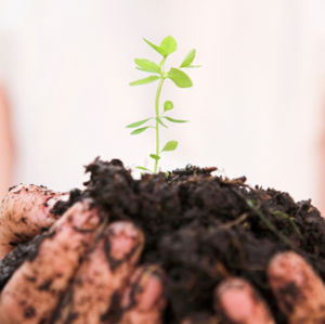 [terras+orgânicas.jpg]