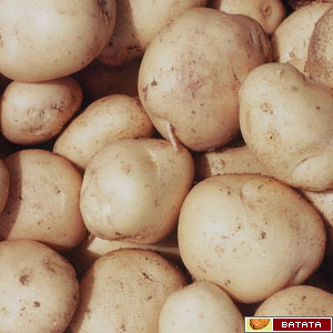 [batata.jpg]