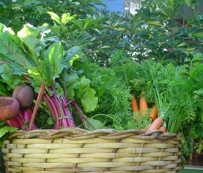 [Produtos+orgânicos.jpg]