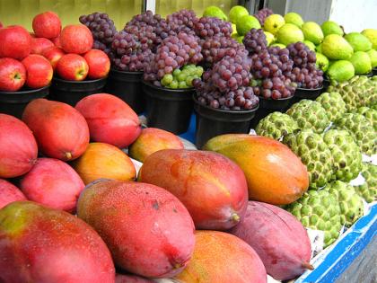 [frutas+orgânicas.jpg]