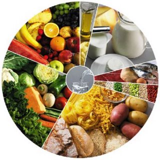 [Roda_dos_alimentos.jpg]