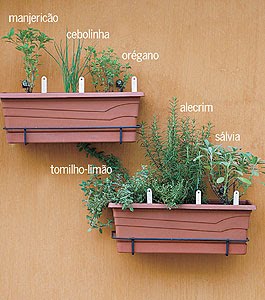 [horta+orgânica.jpg]