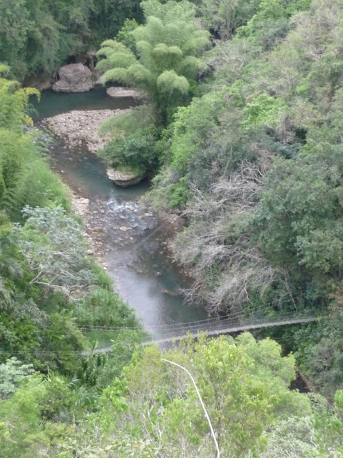 Tanama  River from a limestone cliff...