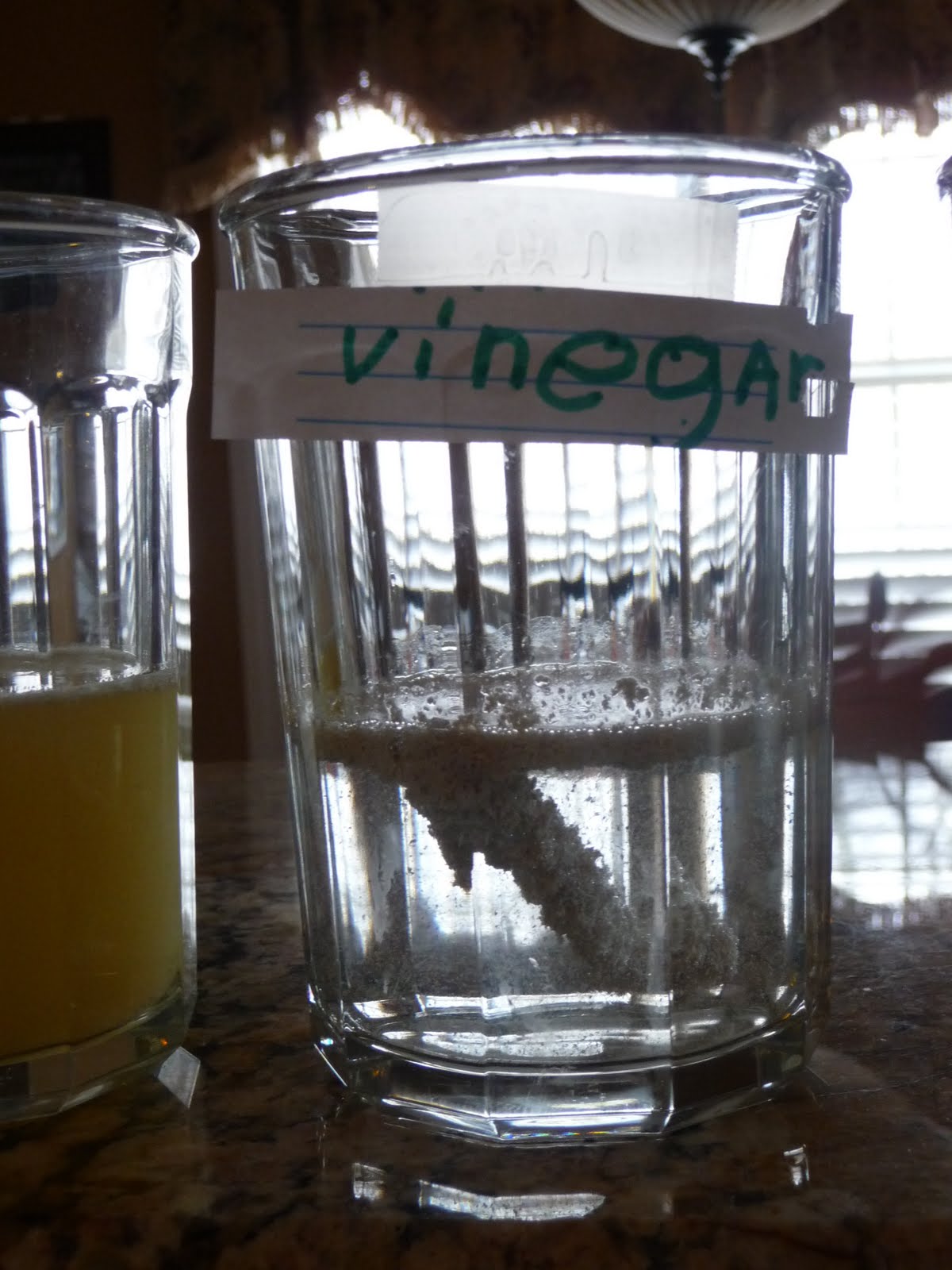 Holding On For the Ride Science on a Snow Day