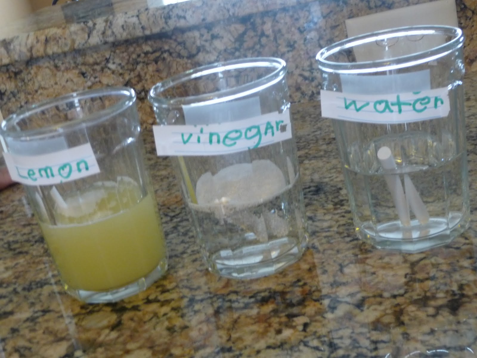 Holding On For the Ride Science on a Snow Day