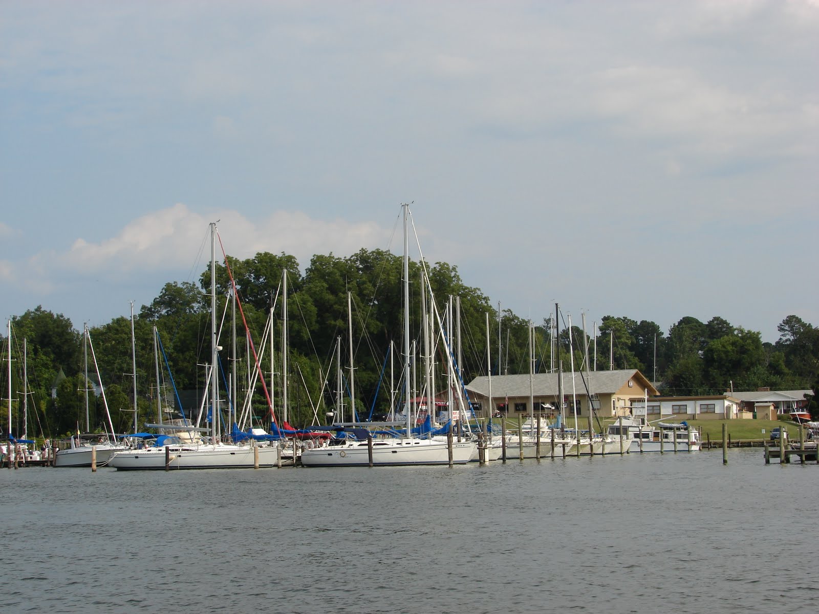 33 44 66 NPS Trip Day 43 Cobb Island, MD