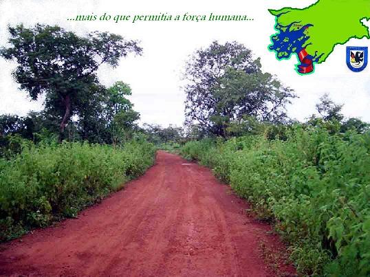 [blog+terra+vermelha+cópia.jpg]