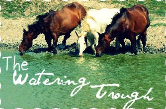 The Watering Trough