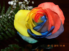 Rainbow rose from my hubby!!