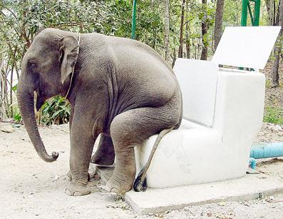 funny picture for facebook