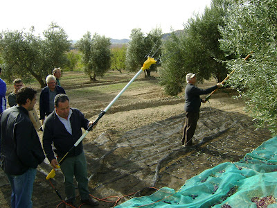 jornada del olivar en Barbastro