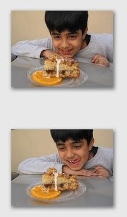 collage2