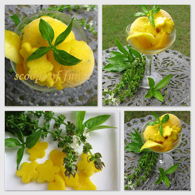 MANGO GINGER BASIL SORBET ...THE PERFECT SCOOP!! 22 mango+sorbet5