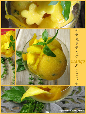MANGO GINGER BASIL SORBET ...THE PERFECT SCOOP!! 20 mango+sorbet6