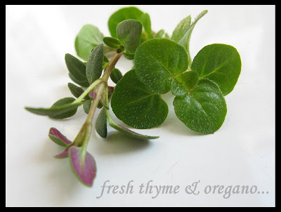 SUN DRIED TOMATOES SANS THE SUN! 24 sundried+tomatoes11