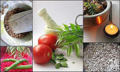 CHICKEN CURRY with TOMATOES for EARTH HOUR. Come join us! 25 2009 03 09+hyd+tamatar+gosht,+tart4