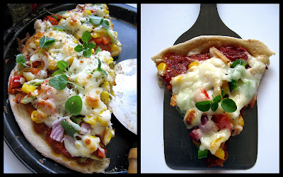 PIZZA WITH 5 MINUTES A DAY DOUGH...I'm a convert! Happy Earth Day too! 38 pizza2